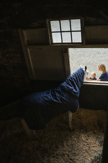 Horseware Ireland Rhino Plus Pony Turnout Rug 250G Vl| Online For Equine
