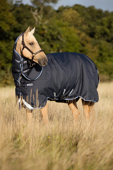 Buy the Horseware Ireland Amigo Bravo 12 Plus Lite 0g Turnout Rug | Online for Equine
