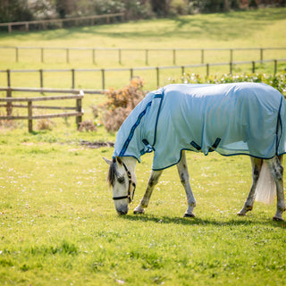 Buy Horseware Ireland Azure Blue Amigo Bug Rug | Online for Equine