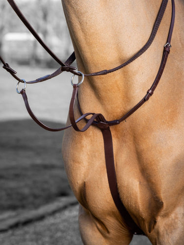 Buy Digby & Fox Bandana | Online for Equine