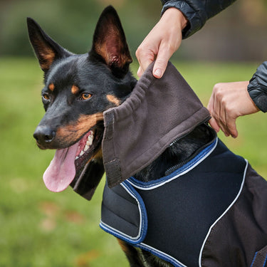 Buy Weatherbeeta ComFiTec Ultra Cozi Dog Coat Medium/Lite | Online for Equine