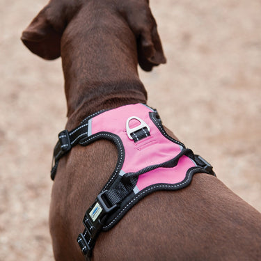 Weatherbeeta Anti Pull/Travel Dog Harness