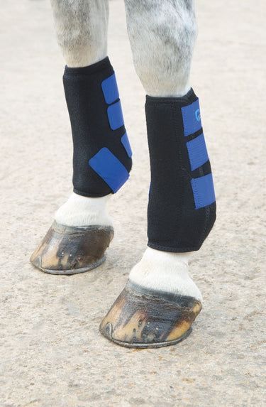 Buy Shires ARMA Coloured Breathable Sports Boots | Online for Equine