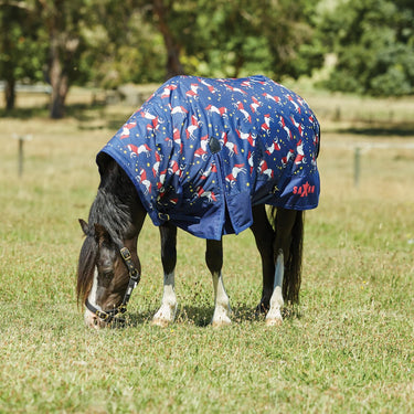 Buy Saxon Pony 180g Medium Combo Neck Turnout Rug - 3'0"| Online for Equine