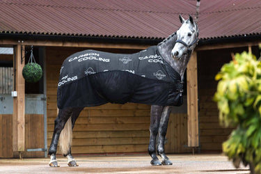 Buy Le Mieux Carbon Cooler Rug | Online for Equine