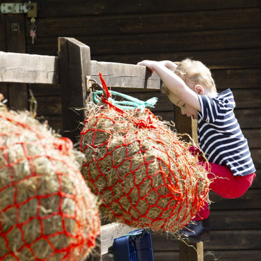 Shires Navy Winnie & Me Children's T-Shirt| Online For Equine