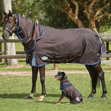 Buy Weatherbeeta ComFiTec Ultra Cozi Dog Coat Medium/Lite | Online for Equine