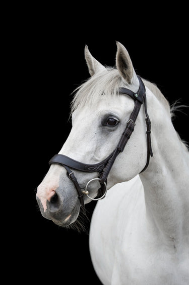 Buy the EcoRider Freedom Comfort Bridle | Online for Equine