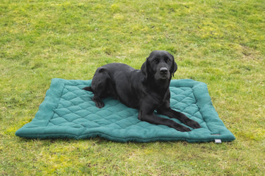 Benji & Flo Essential Fleece Dog Bed| Online For Equine