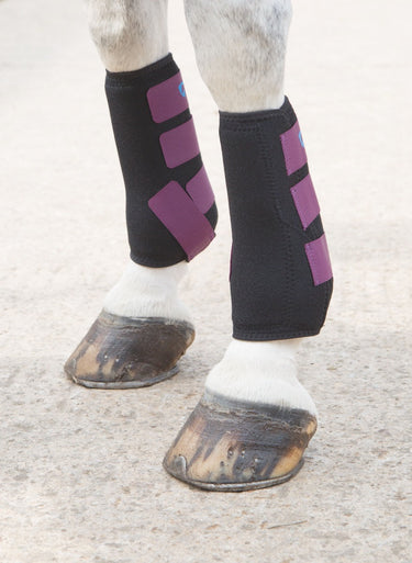 Buy Shires ARMA Coloured Breathable Sports Boots | Online for Equine