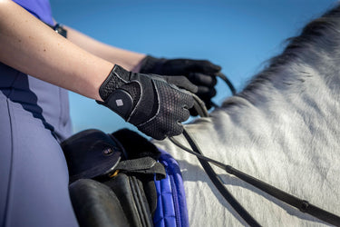 Buy Le Mieux 3D Mesh Black Riding Gloves | Online for Equine