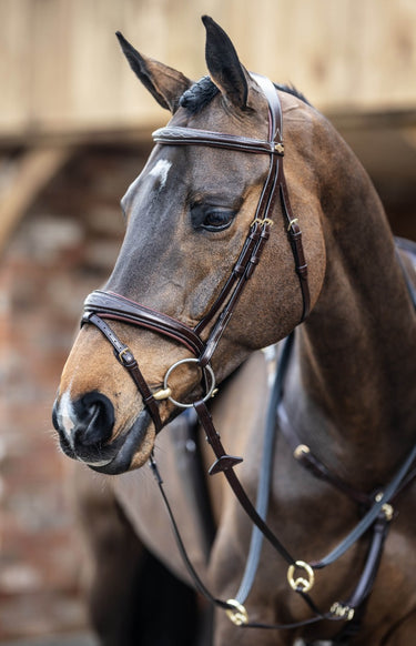 Buy Le Mieux Competition Bridle | Online for Equine