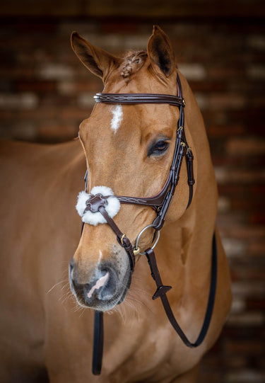 Buy Le Mieux Grackle Bridle | Online for Equine