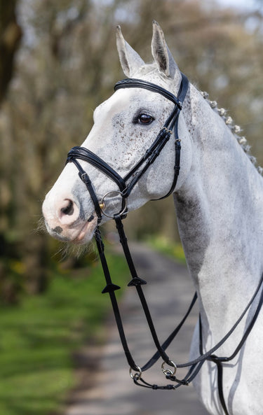 Buy LeMieux Kudos Competition Black Flash Bridle| Online for Equine