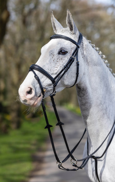 Buy Le Mieux Competition Bridle | Online for Equine