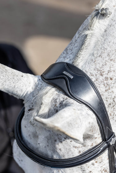 Buy Le Mieux Competition Bridle | Online for Equine