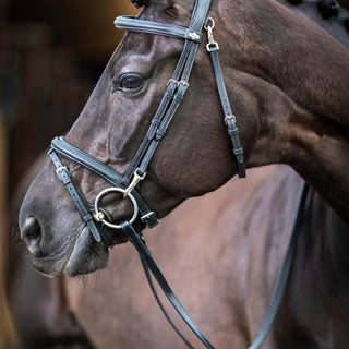 Buy Le Mieux Work Bridle | Online for Equine