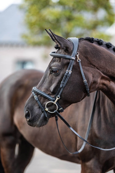 Buy LeMieux Kudos Work Bridle| Online for Equine