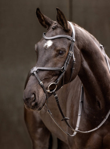 Buy Digby & Fox Bandana | Online for Equine