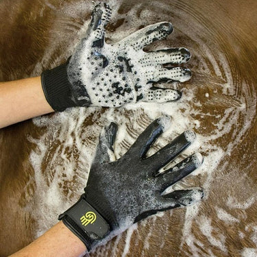Buy Hands On Grooming Mitt| Online for Equine