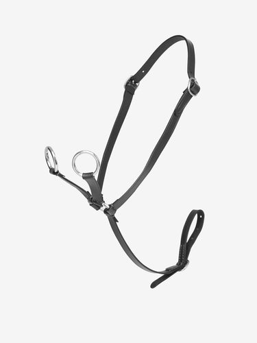 Buy Digby & Fox Bandana | Online for Equine