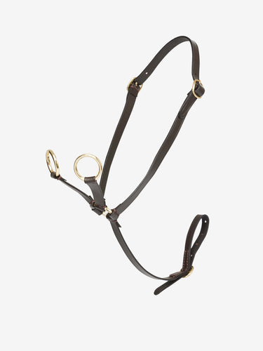 Buy Digby & Fox Bandana | Online for Equine