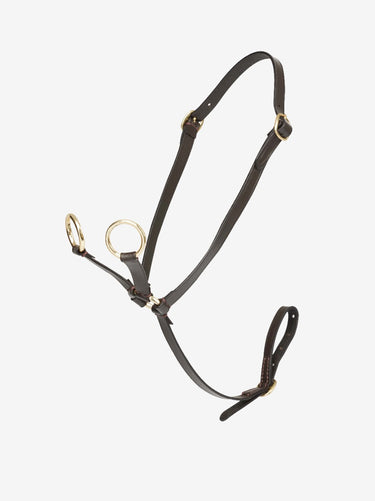 Buy Digby & Fox Bandana | Online for Equine