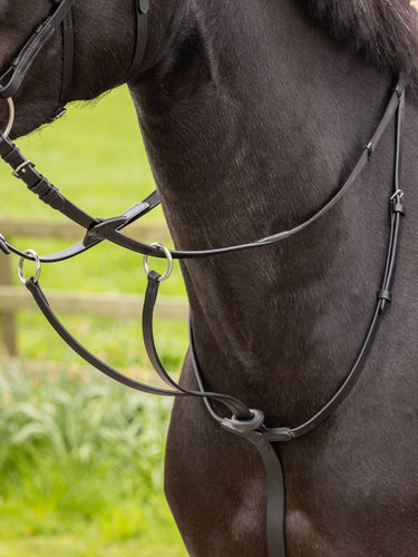 Buy LeMieux Arika Running Martingale | Online for Equine