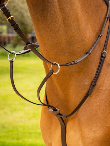 Buy Digby & Fox Bandana | Online for Equine