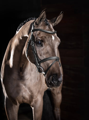 Buy LeMieux Arika Flash Bridle | Online for Equine
