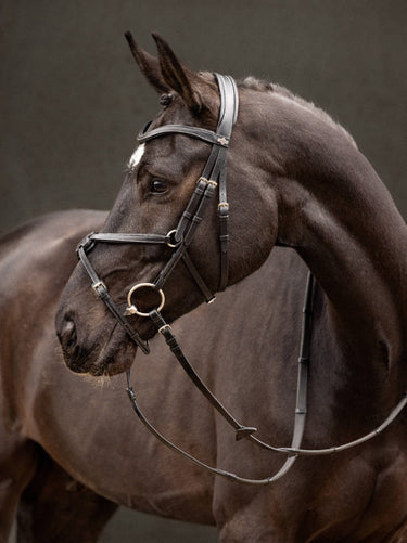 Buy Digby & Fox Bandana | Online for Equine