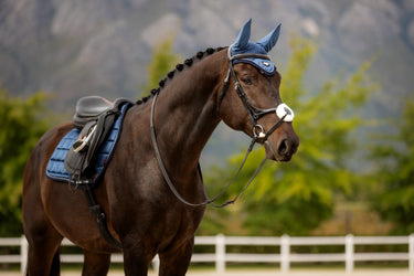 Buy LeMieux Loire Fly Hood Atlantic - X Large| Online for Equine