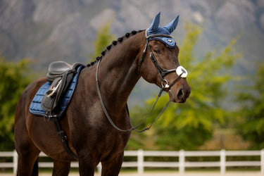 Buy Le Mieux Loire Fly Hood Atlantic|Online for Equine