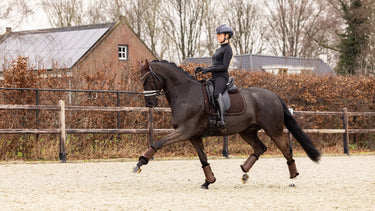 Buy LeMieux Crystal Suede Dressage Square Brown| Online for Equine