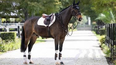 Buy LeMieux White ProSorb Plain 2 Pocket Close Contact Square| Online for Equine