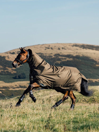 LeMieux Arika Alpine Ripstop 0g Turnout Rug| Online For Equine
