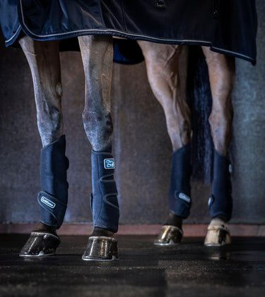 Buy LeMieux Tendon Chill Boots-One Size-Black| Online for Equine