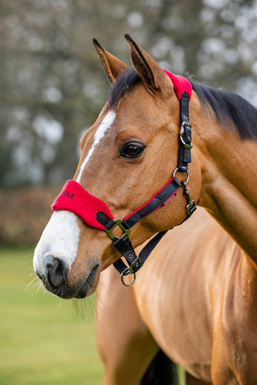 Buy the Le Mieux Chilli Red Vogue Fleece Headcollar & Leadrope Set | Online for Equine