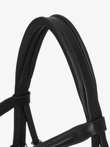 Buy Digby & Fox Bandana | Online for Equine