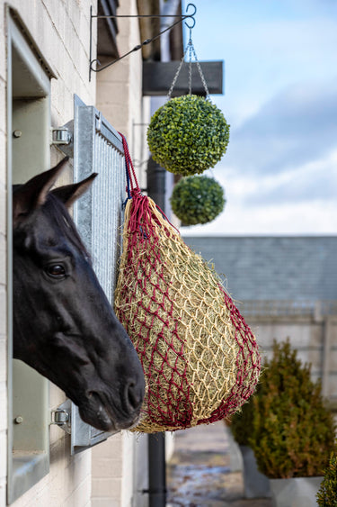 Buy the LeMieux Burgundy Hippo Hay Net | Online for Equine