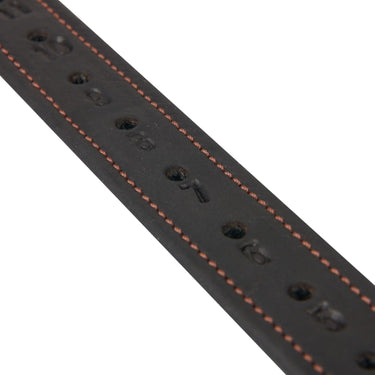 Buy LeMieux Vector Pro Stirrup Leathers Brown| Online for Equine