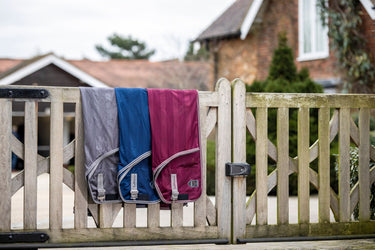 Buy LeMieux Arika Air-Tek Sheet| Online for Equine