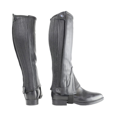 Buy Hy Leather Half Chaps| Online for Equine