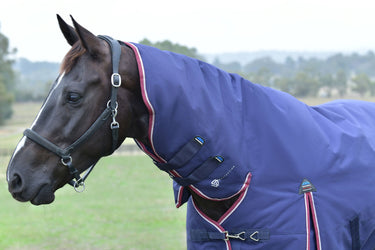 Weatherbeeta Comfitec Essential Turnout Combo 220G Navy/ Burgundy| Online For Equine