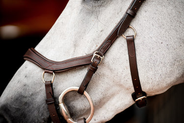 Buy Horseware Ireland Micklem 2 Competition Bridle With Reins | Online for Equine