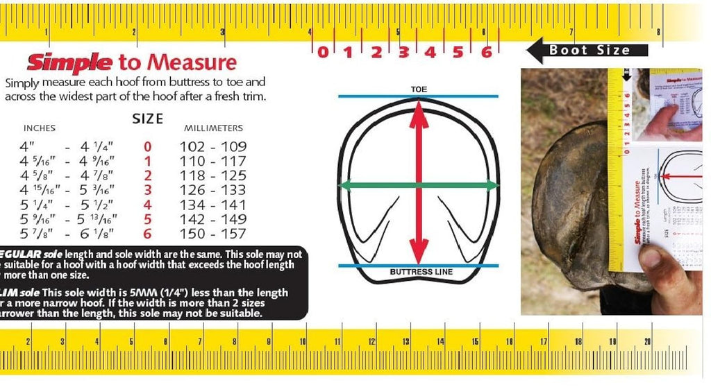 Cavallo Boots Size Guide