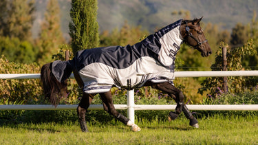 Buy Digby & Fox Bandana | Online for Equine