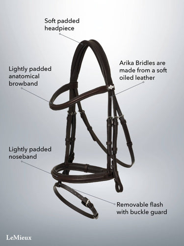 Buy Digby & Fox Bandana | Online for Equine