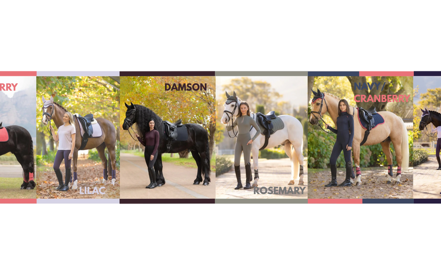 LeMieux-Colour-Comparison-AW25-vs-Fan-Favourites-Earlier-Collections| Online For Equine