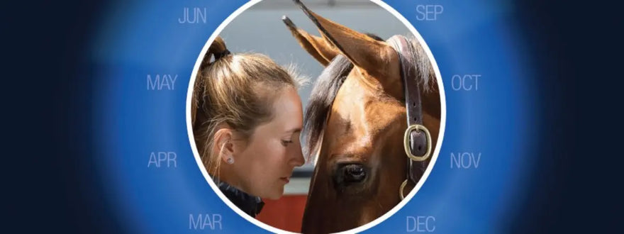 NAF-Oestress-hormonal-support-for-mares| Online For Equine